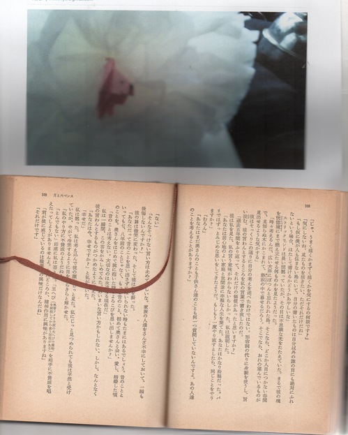 スキャン4807 1.jpeg